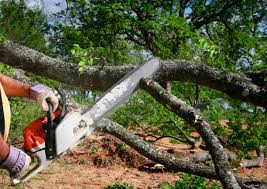 Reliable Aransas Pass, TX  Tree Services Solutions